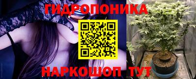 стаф Аргун