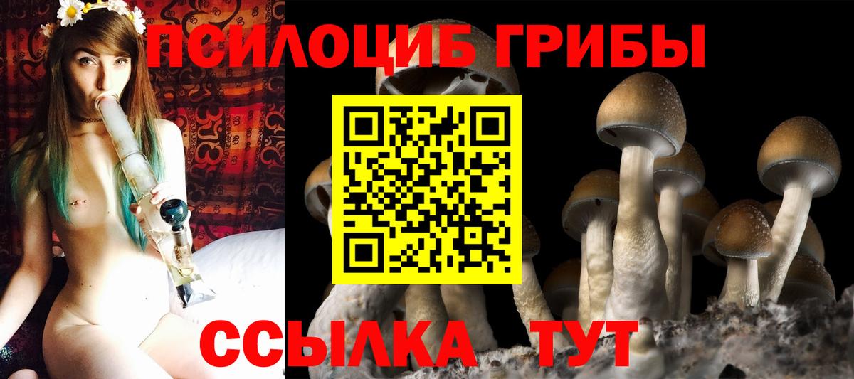 Белгород  Псилоцибиновые грибы Psilocybine cubensis  Галлюциногенные грибы прущие грибы  Вход с VPN 